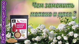 Чем заменить молоко и мясо белок киноа