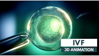 How IVF works  3D Animation