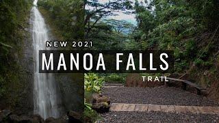 Visiting Manoa Falls? Seeing it for the first time after trail renovations 2021 and what to expect