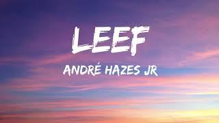 Andre Hazes Jr - Leef SongtekstLyrics