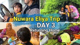 NUWARA ELIYA TRIP DAY 3  Victoria Park Fresh fruit & veg  Returning home  Naveenass Tiny Tips
