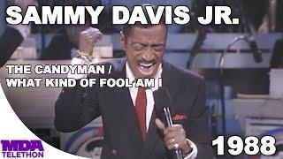 Sammy Davis Jr. - The Candyman & What Kind Of Fool Am I  1988  MDA Telethon