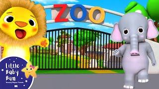 Zoo Song  Nursery Rhymes and Kids Songs  Little Baby Bum