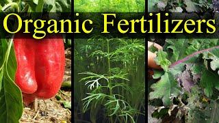 Organic Fertilizers - My Top 5 Choices For 2021