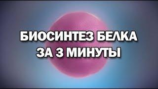 Биосинтез белка за 3 минуты даже меньше