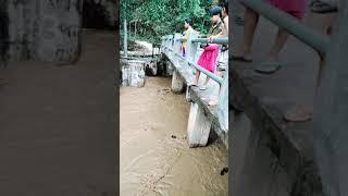 SAMPANG BANJIR POLE