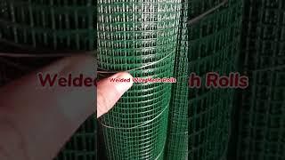 Green PVC Coated Welded Wire Mesh Plasticized Metal Fencing Material for Poultry and Animal Breeding