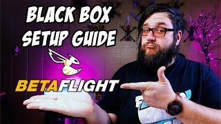 BetaFlight black box logging complete beginners setup guide.  So easy a greasy FPV ninja can do it