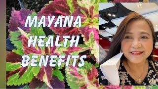 Mayana Health Benefits