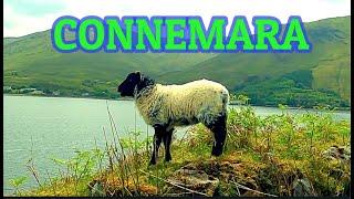 CONNEMARA САМОЕ КРАСИВОЕ МЕСТО В ИРЛАНДИИВОДОПАДЫПЛЯЖЕДА