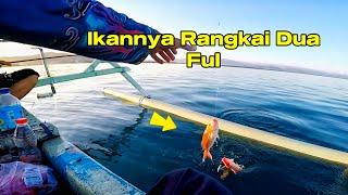 Mancing Dasaran Diserbu Ikan Kurisi