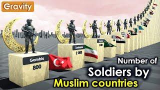 Muslim Countries by  Number of Soldiers