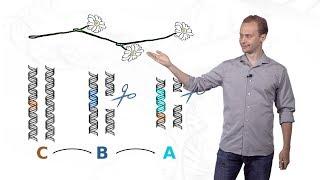 Kevin Esvelt MIT 2 Gene Drive and Local Drive