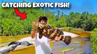 Catching EXOTIC FISH From NASTY Black Water