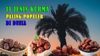 11 JENIS KURMA PALING POPULER DI DUNIA 