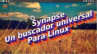 Synapse - como instalar y configurar este buscador universal para Linux