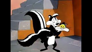 Pepe Le Pew - We shall flee to Capri