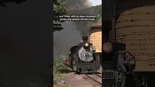 Cavalcade of Steam Choo choo #railfan #usarailway #railway #trains #railroadlife #trainvideos