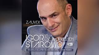 Igor Starovic & Divlji Kesten -  Kristina -  Official Audio 2013  HD