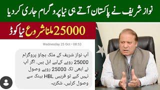 Nawaz Sharif program 25000 online apply 2024  Nawaz Sharif program online Registration start  8171