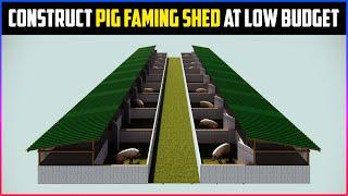 Pig Faming Shed Plan At Low Budget  How To Construct HogSwine Farming Shed For Beginners