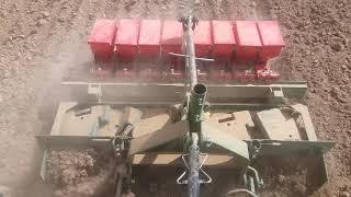 کاشت پیاز با تراکتور رومانی  Planting onions with a utb 650 tractor