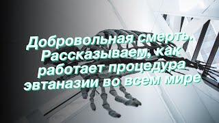 Добровольная смерть. Рассказываем как работает процедура эвтаназии во всем мире