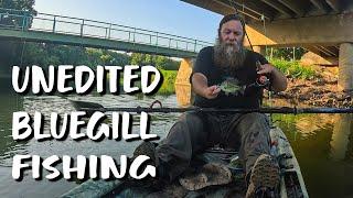 40 Minutes of UNEDITED Bluegill fishing