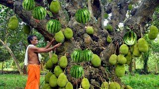 How to growing jackfruit from watermelon  How to Growing jackfruit