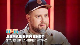 Stand Up Андрей Атлас - домашний енот @TNT_television