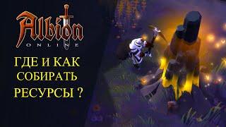 Albion online  ГДЕ И КАК СОБИРАТЬ РЕСУРСЫ ?