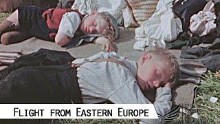 Flight and Expulsion of Germans from Czechoslovakia 1945