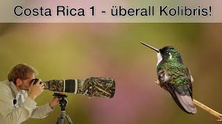 Costa Rica Teil 1 - Kolibris fotografieren Tipps und Tricks
