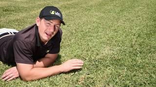 How to remove invading grass varieties from your lawn