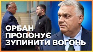 ТАКОГО НІХТО НЕ ОЧІКУВАВ Орбан запропонував Зеленському припинити вогонь  А ПОТІМ ГОВОРИТИ ПРО МИР