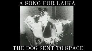 A song for Laika the dog sent to space