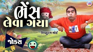 ભેંસ લેવા ગયા   comedy jokes video  comedy in gujarati  Vishnuraj Bhoi  Jokes in gujarati