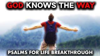 The Breakthrough PSALMS That Will Revolutionize Your LIFE Forever