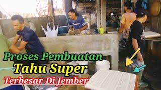 Pembuatan Tahu Super  Intip Pabrik Tahu Legendaris Terbesar Di Jember #vlog