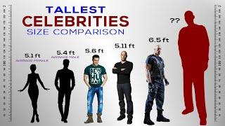 Tallest Celebrities Height Comparison