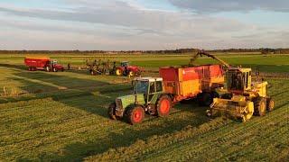 Classic Grass chopping New Holland 1900 Gras hakselen 2024