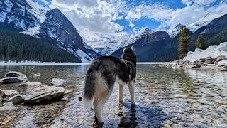 My Husky Adventures In The Stunning Canadian Rockies