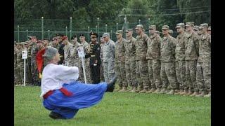 Ukraines Zelensky lashes NATO over no-fly zone refusal