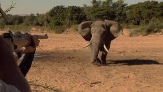 Worlds Greatest Elephant Hunts