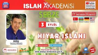 Sebze Islah Akademisi-14 Hıyar Islahı Dr. Volkan Gözen