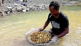 PRIA INI BERUNTUNGTEMUKAN LOGAM EMAS DI SUNGAIGOLD MINERS MANUALLY DISCOVER GOLD TREASURES