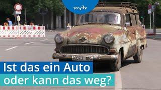 Das seltsame Oldtimer-Experiment eines Professors  Umschau  MDR