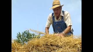 Harvest The Threshing Story