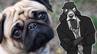 Whats Wrong With PUGS and Pedigree Dog Breeding  Cynical Reviews