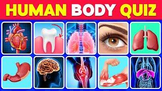 The Human Body Quiz How Many Human Body Parts Can You Guess? 